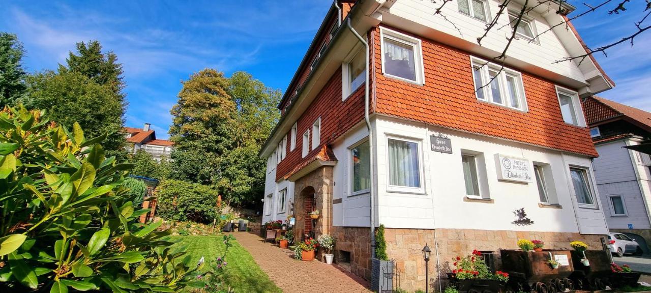 Hotel Elisabeth-Ilse Braunlage Exterior foto