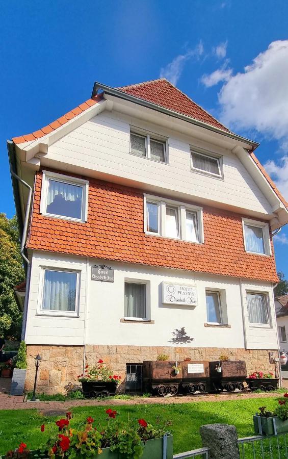 Hotel Elisabeth-Ilse Braunlage Exterior foto